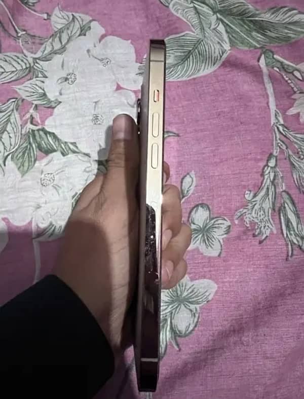 I phone 12 pro Max Pta Approved 256 GB 5