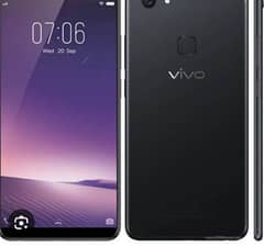 vivo