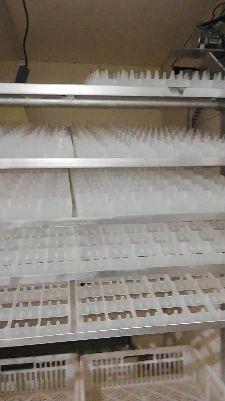 Automatic Incubator Hatchery 1000 eggs 1