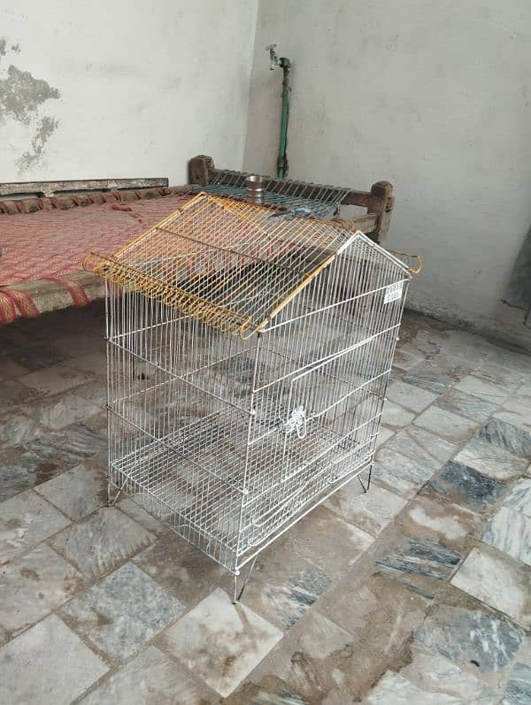 cage zarar company 1