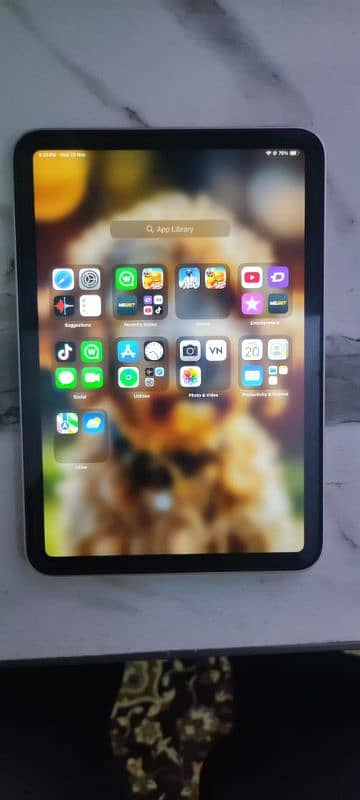 iPad mini 6 0