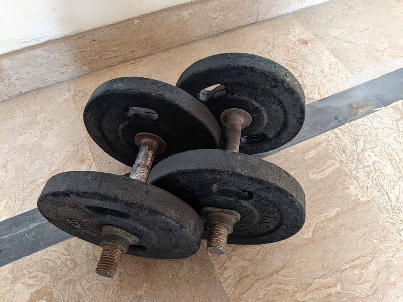 Dumbbell Plates 12 kg Rubber Coated 0