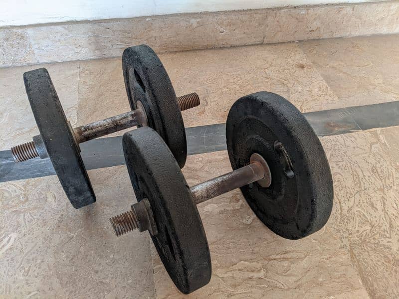 Dumbbell Plates 12 kg Rubber Coated 2