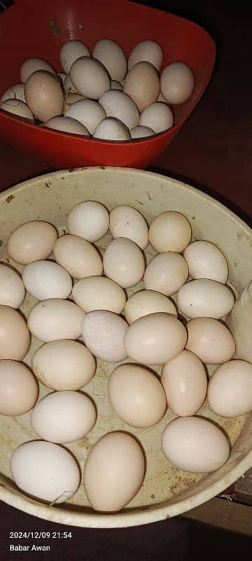 Organic Desi Eggs available for home use and also for chicks hatching 0