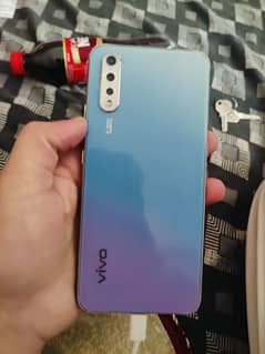 vivo