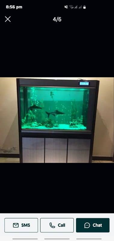 fish aquarium all service available in Lahore 7