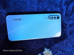 vivo