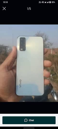 vivo