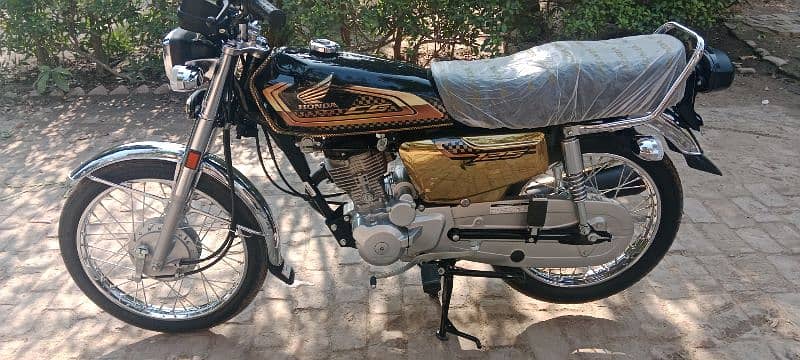 Honda 125 gold Edition 2025 1