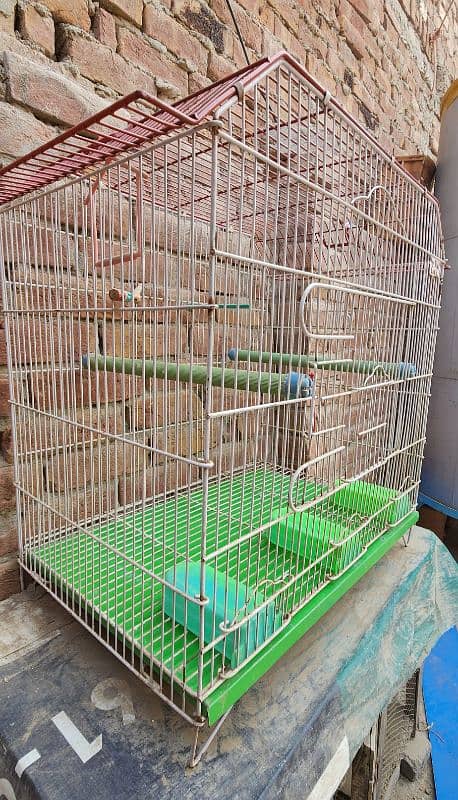 cage for sale 1