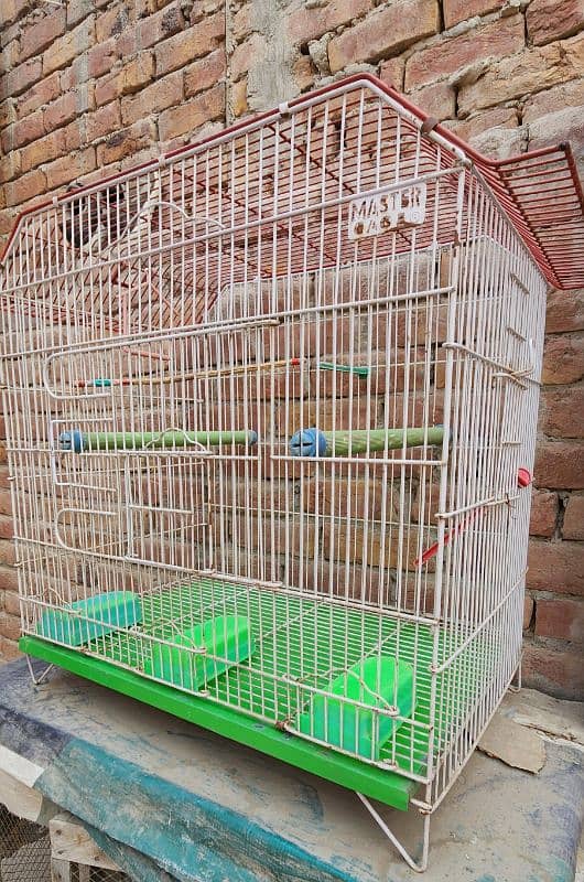 cage for sale 2