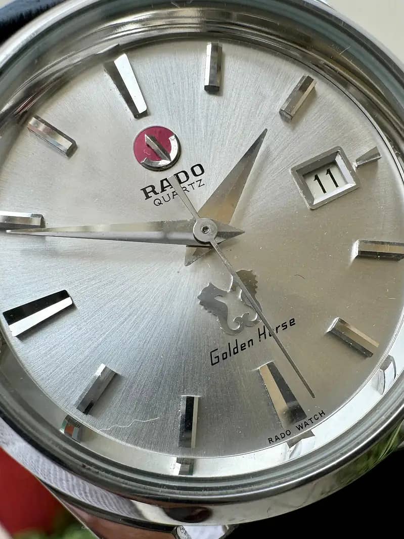 RADO Golden Horse / Rado Watch /Men Watch /Stylish Watch / New Edition 2