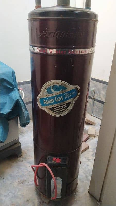 Geyser 30 gallon Asian Gas for sale 0