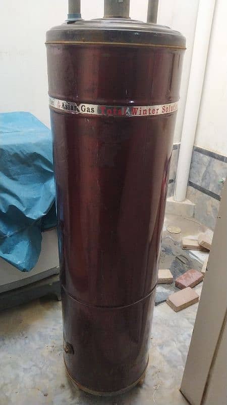 Geyser 30 gallon Asian Gas for sale 1