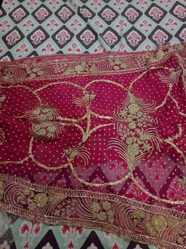 indian banarsi saree and krankle jarhet langa 4