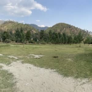Saaad. 03016666662