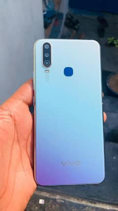 vivo