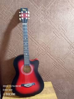 Xuebao Guitar