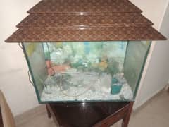 Fish Aquarium