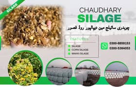 Corn Silage/Maki Silage/Animal Feeds