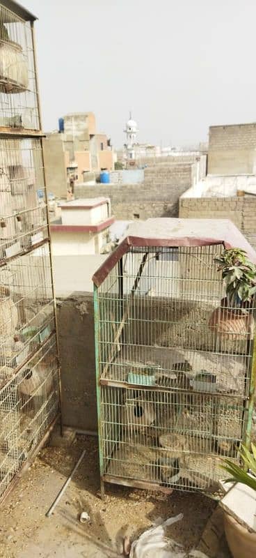 6 portions iron cage for sell 3