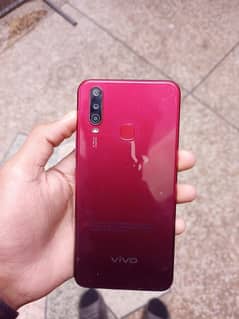 vivo