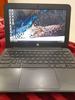 HP Chromebook G5