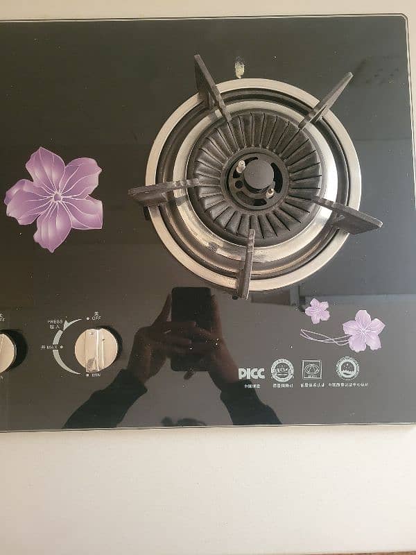 "Sleek & Efficient 2-Burner Gas Stove 1