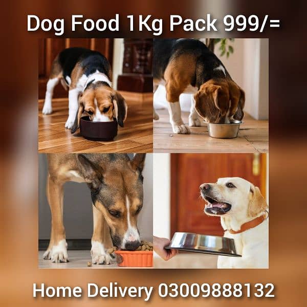 Cat Food, Dog Food 1Kg Pack 999/= 1