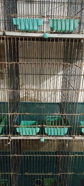 12 portion cage Arif cages 1