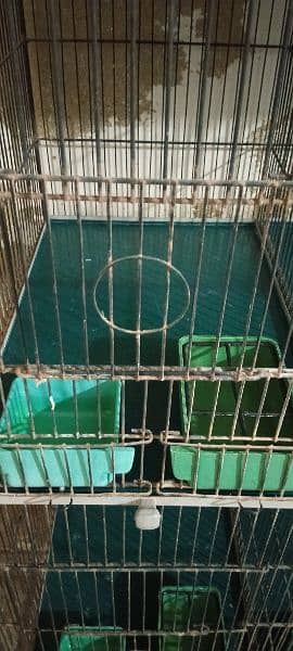 12 portion cage Arif cages 2