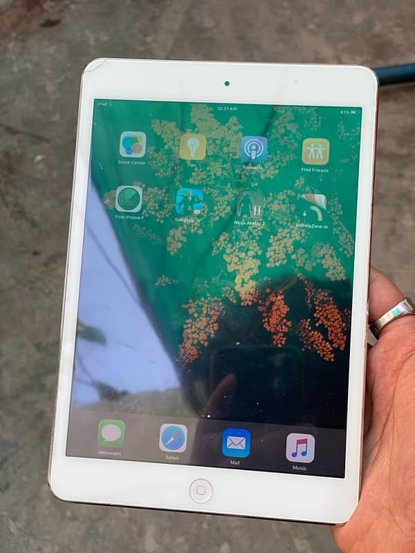 iPad (mini 2) (64 GB) 0