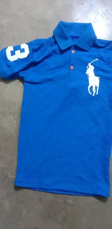 polo t shirt 0