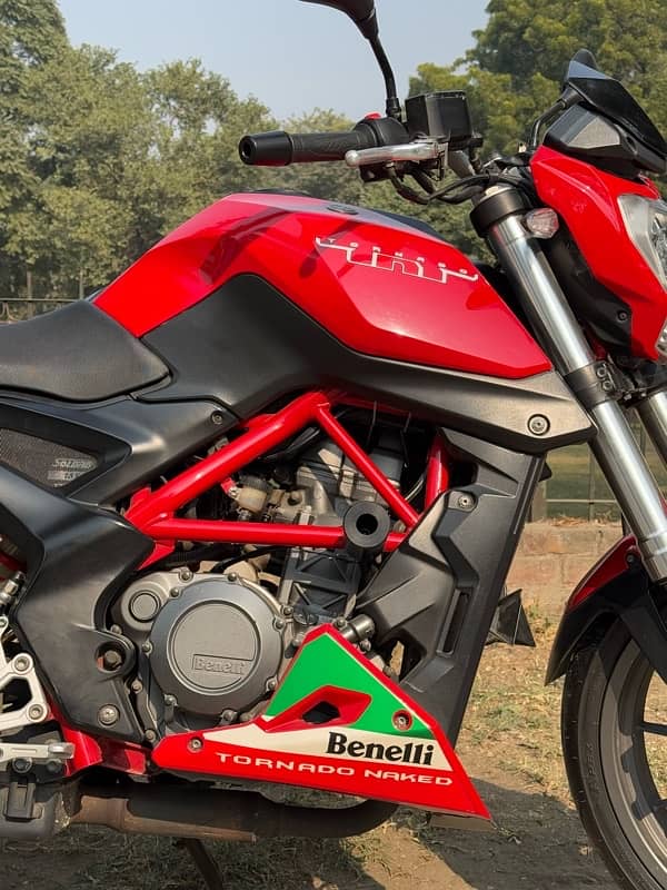 Benelli Tnt 25 || 2017 || 10/10 condition 5