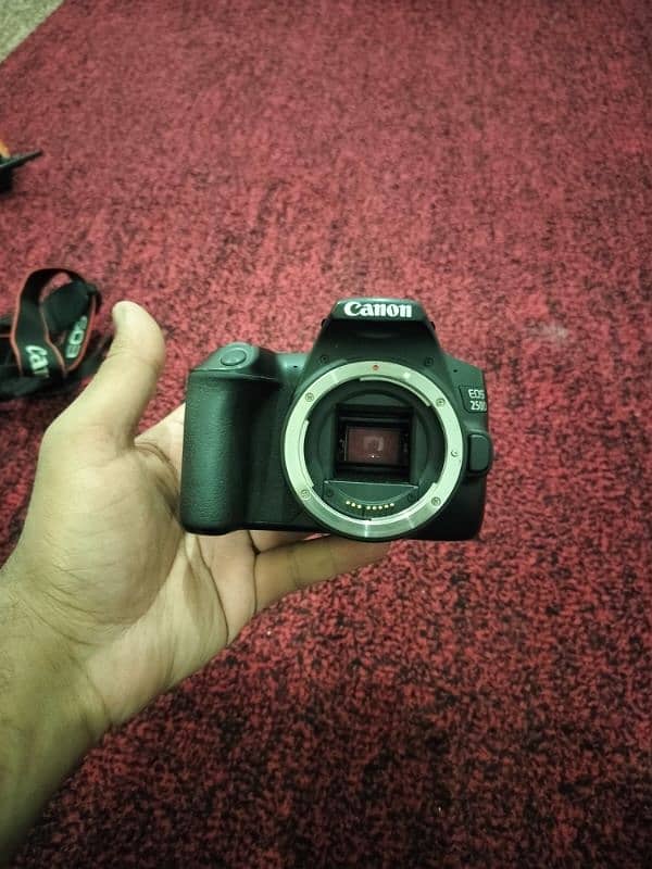 Canon 250D 0