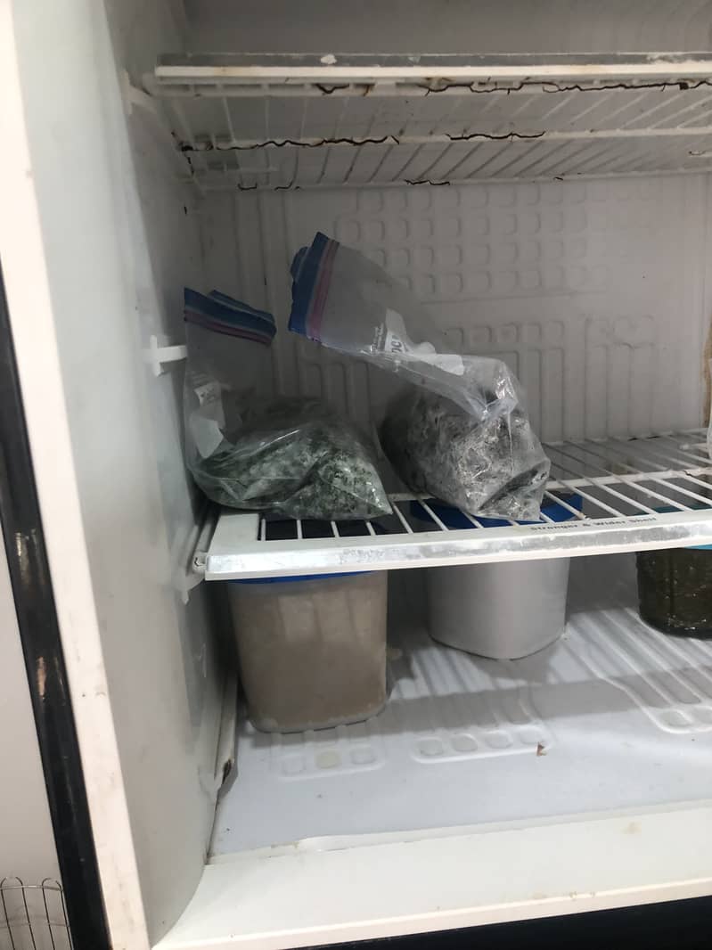 PEL fridge for sale 2