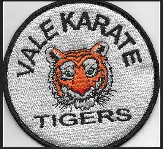 Embroidery / Chenille / Woven / Merrow / Printed / PVC / PU Patches 3