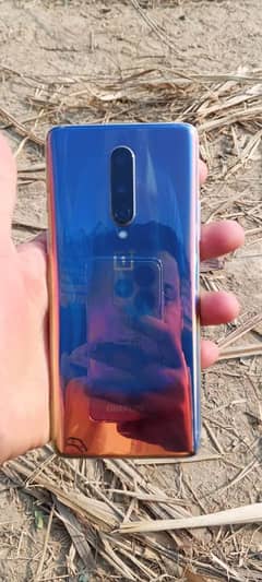 OnePlus 8 for sale