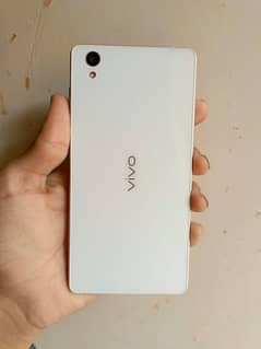 vivo