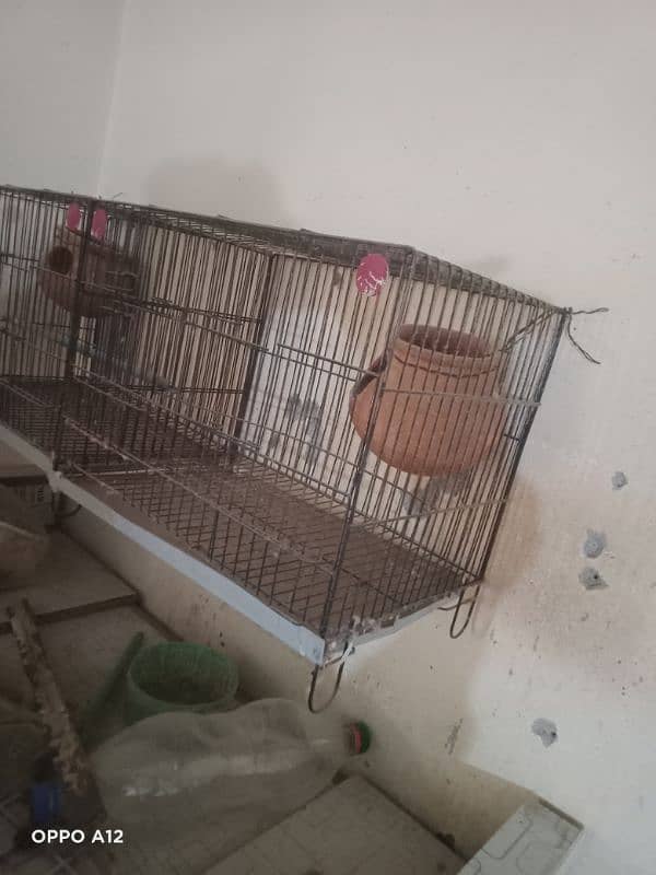 cage for sale 0