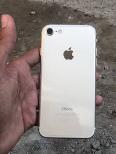 i phone 7