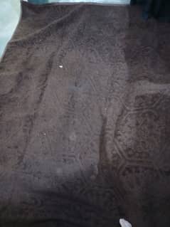 carpet