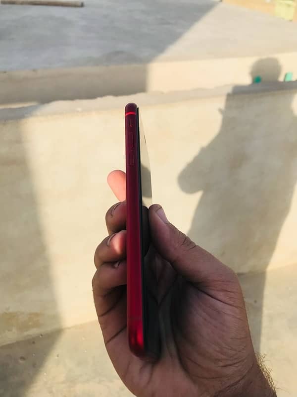 iPhone XR pata apparoved 1