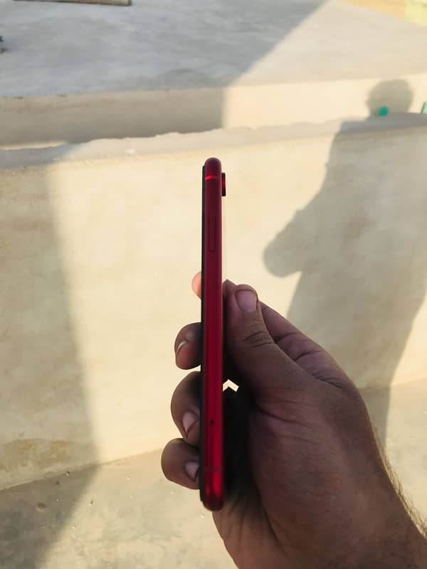 iPhone XR pata apparoved 2