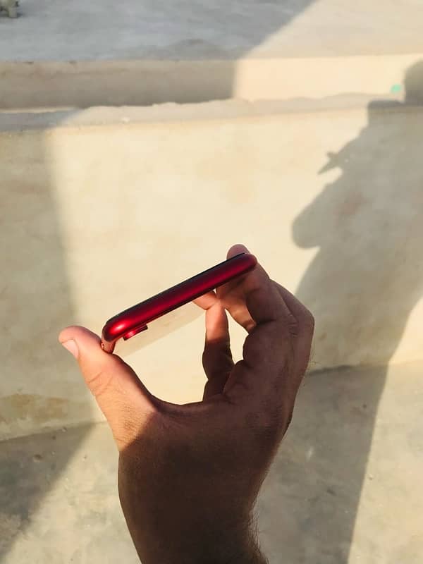 iPhone XR pata apparoved 4