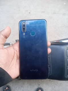 Vivo