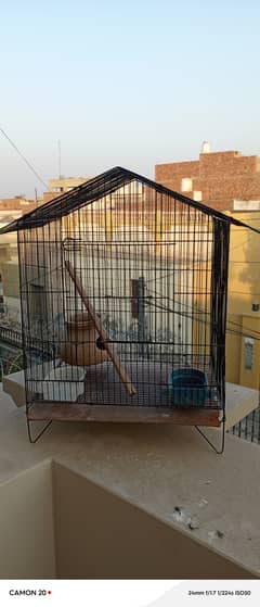 CAGE AVAILABLE