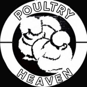 Poultry