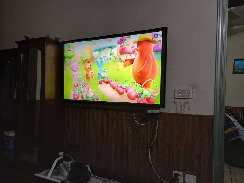 Orient 55" LED TV 1