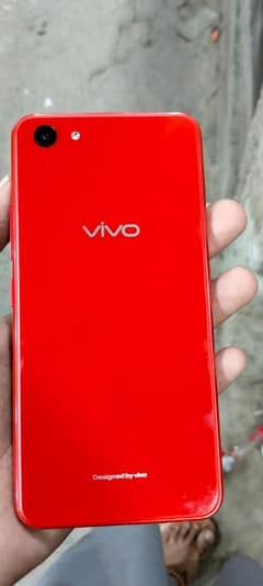 vivo